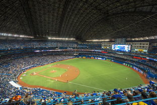 开云体育直播-世界击剑锦标赛中国女花首次进四强，击剑世界冠军女