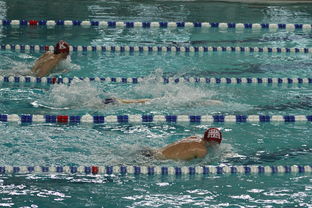 开云体育最新地址-世界短池游泳锦标赛多项世界纪录诞生，第一届世界短池游泳锦标赛