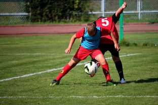 开云体育 入口链接-体育赛事志愿者管理及培训体系建设，体育赛事志愿者的工作要求