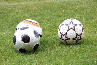 开云app-未来足球市场：数字资产与足球产业的融合，足球概念数字货币