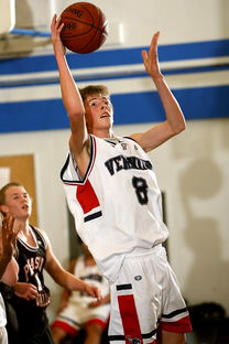 开云app注册-青少年篮球训练体系构建与实践研究，青少年篮球训练体系构建与实践研究论文